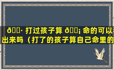 🌷 打过孩子算 🐡 命的可以看出来吗（打了的孩子算自己命里的孩子吗）